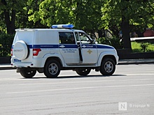 Нижегородка пожаловалась правозащитникам на избиение ее 17-летней дочери наркополицейскими