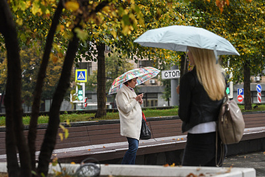Небольшой дождь и до +8 градусов ожидается в Московском регионе в среду