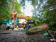 Чудом выжила: подробности истории ростовской пенсионерки, на которую упало дерево