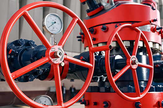 Индийскому бизнесу следует действовать, а не жаловаться