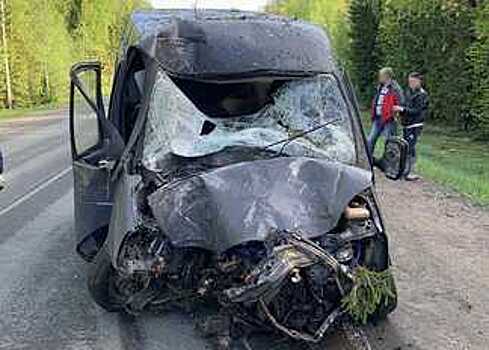 В Карелии житель Вологодчины уснул за рулем и врезался в дерево