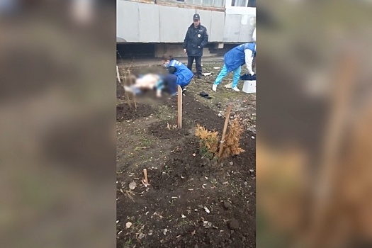 ЧП в Тольятти: на Приморском бульваре женщина выпала из окна 9 этажа