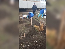 ЧП в Тольятти: на Приморском бульваре женщина выпала из окна 9 этажа