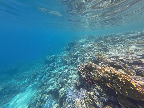 Почему в Египте нельзя купаться ночью