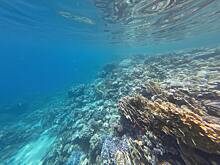 Почему в Египте нельзя купаться ночью