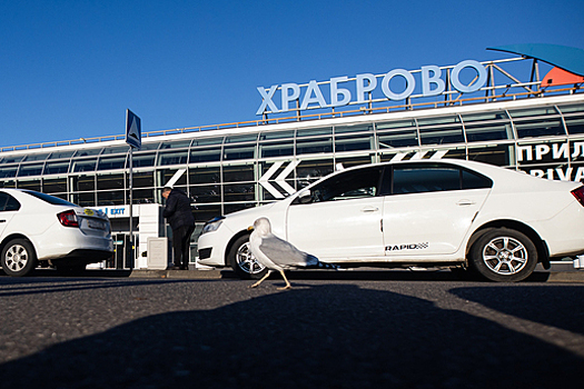 Глава Храброво рассказал, почему таксисты Яндекса и других агрегаторов дежурят у шлагбаума и не заезжают на парковку