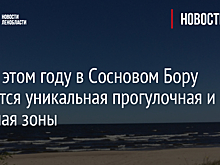 Уже в этом году в Сосновом Бору появится уникальная прогулочная и пляжная зоны