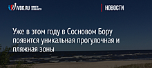 Уже в этом году в Сосновом Бору появится уникальная прогулочная и пляжная зоны