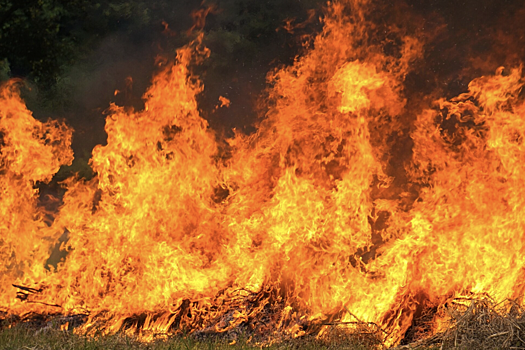В Новосибирске произошел пожар в гостинице: спасены 7 человек, двое пострадали