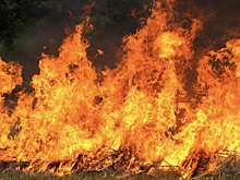 В Новосибирске произошел пожар в гостинице: спасены 7 человек, двое пострадали