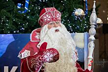 Россияне рассказали, что попросят у Деда Мороза