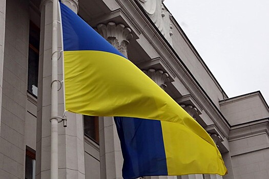 Украинку предложили лишить гражданства за критику националистов