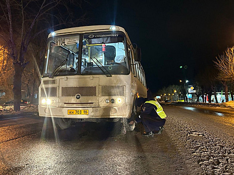 Автобус насмерть сбил пенсионерку в Свердловской области. Фото