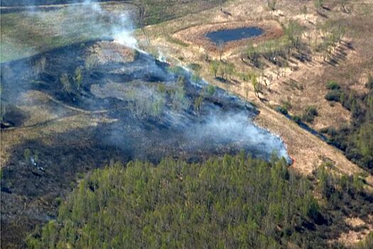 В Югре ликвидированы первые в этом году лесные пожары на площади 21 га