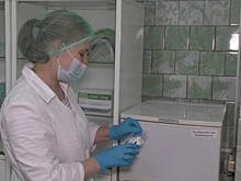 283 жителя Волгоградской области заразились коронавирусом на минувшей неделе