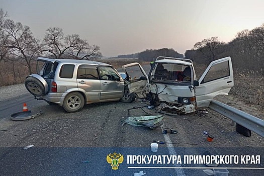 В Приморье в ДТП с грузовиком пострадали пять человек