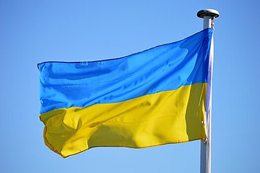На Украине задержали требовавшего извинений от Зеленского экс-главу СБУ Харькова