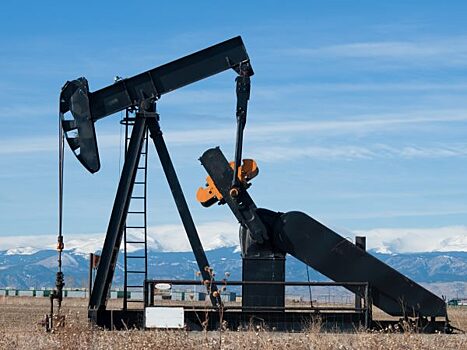 Баррель нефти ОПЕК подешевел до $44,32