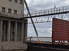 На 107 млн долларов волгоградские аграрии отгрузили зерна на экспорт