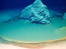 На дне Красного моря нашли глубоководные бассейны с «рассолом»