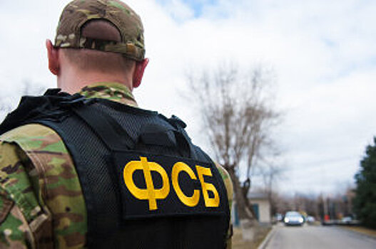 ФСБ не располагает дополнительной информацией о задержанном шпионе США