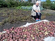На модернизацию объектов АПК Рязанский регион получит 52,5 млн. рублей