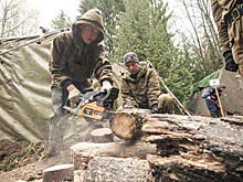 Победила дружба дровосеков. Москвичи посоревновались в рубке дров