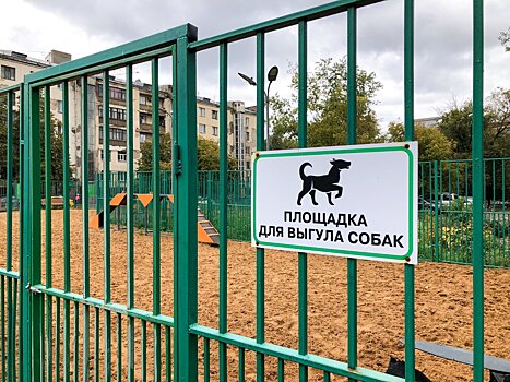Петербургские депутаты хотят установить для горожан правила выгула собак