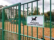 Прием предложений по развитию инфраструктуры для питомцев в Москве стартовал на платформе «Город идей»