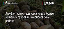 Это фантастика: девушка нашла более 30 белых грибов в Ломоносовском районе