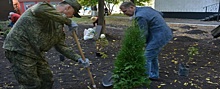 В Самаре жители проявили инициативу и благоустроили неухоженную территорию во дворе