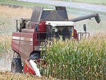 В Беларуси чествуют работников аграрного сектора