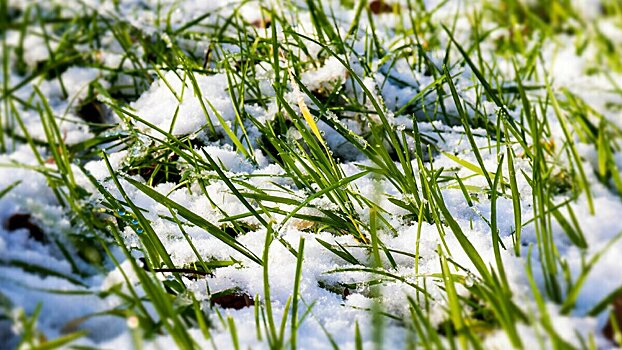 Столбик термометра поднимется до +12