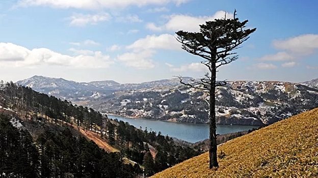 На Курилах построят новые предприятия