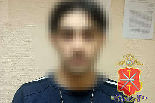 В Туле мужчина создал себе новогоднее настроение и попался полиции