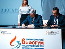 Под Воронежем в городе-спутнике «Солнечный» создадут инновационный Технополис