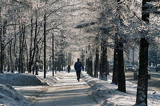 Министр Хайкин: несмотря на холода, жители Подмосковья активно посещают парки