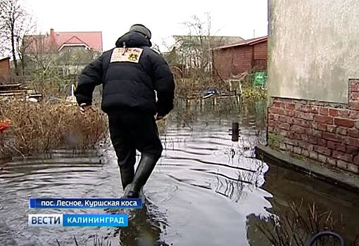 На Куршской косе затопило посёлок Лесное