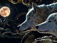 "Ночные волки" погорели на ограблении завода