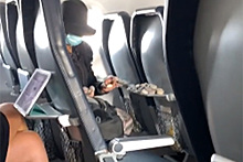 Действия пассажирки с камнями в самолете засняли