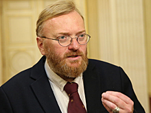 Милонов предложил создать новую полицию для борьбы с теневым секс-бизнесом в России