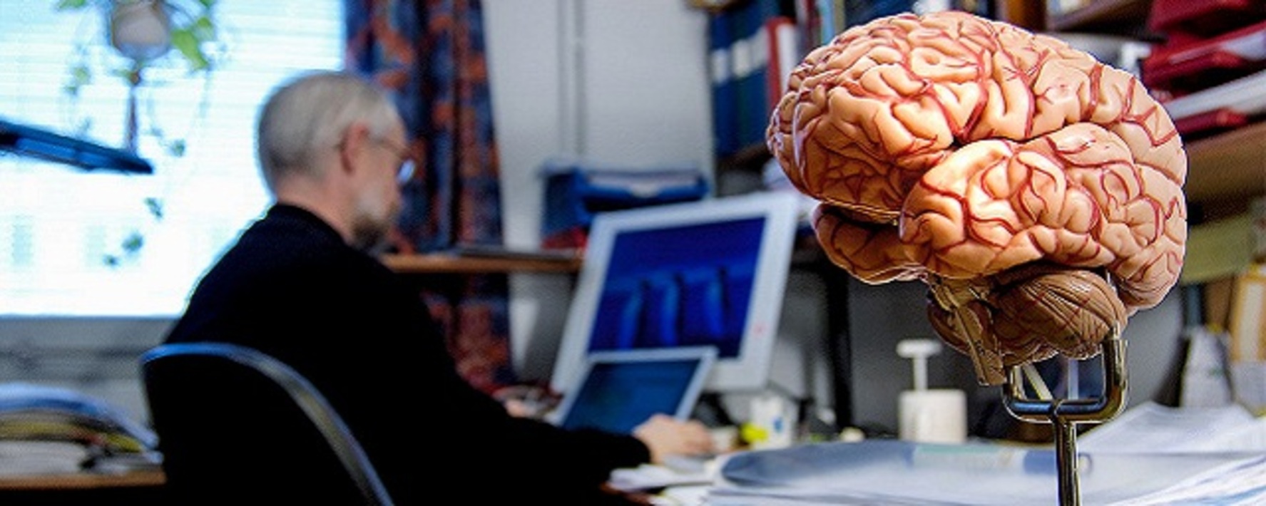 Мозг и память после 40. Изучение мозга. Изучение мозга человека.