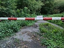 В Обоянском районе Курской области введён особый противопожарный режим