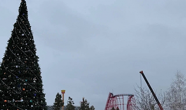 В волгоградском ЦПКиО завершился демонтаж колеса обозрения