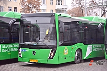 В свердловские города поступили почти 300 автобусов
