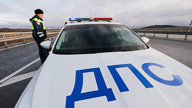 ГИБДД проведёт тотальные проверки водителей в последние выходные 2025 года
