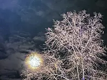 В Самарскую область 14 ноября нагрянет метель