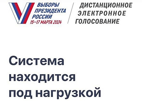 "Система под нагрузкой": жители Новосибирска не могут проголосовать на выборах в системе ДЭГ