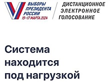 "Система под нагрузкой": жители Новосибирска не могут проголосовать на выборах в системе ДЭГ