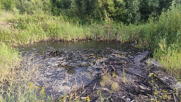 В Саранске из-за незаконной битумной свалки возбудили уголовное дело